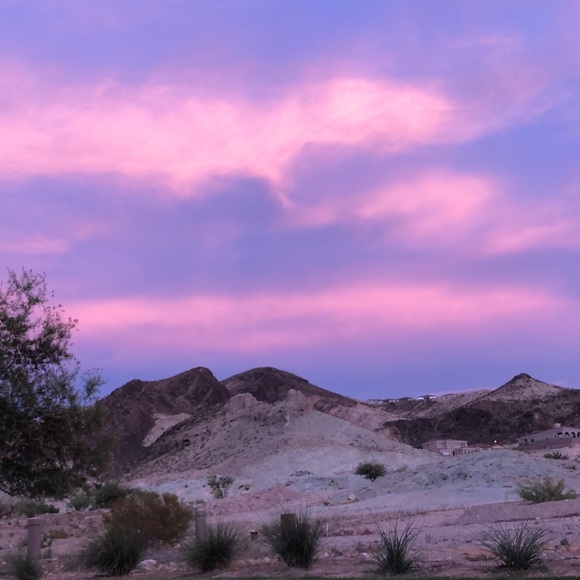 Meet your Posher, Mia - Picture 5 of 6